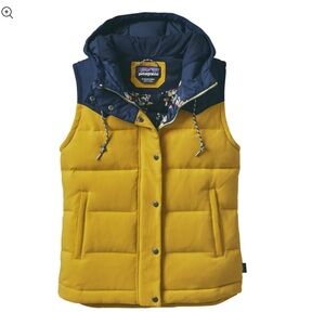 Patagonia Bivy Vest mushroom lining and hood